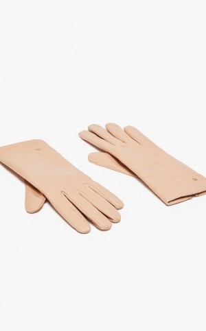 MaxMara Nappa Leather Gloves ANTIQUE ROSE | MMR594233