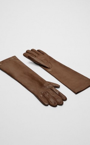 MaxMara Nappa Leather Gloves TOBACCO | MMR594240