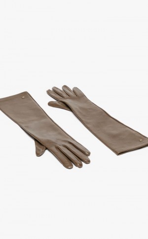 MaxMara Nappa Leather Gloves TURTLEDOVE | MMR594231