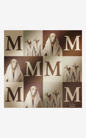 MaxMara Printed Silk Scarf Scarves BEIGE | MMR594282