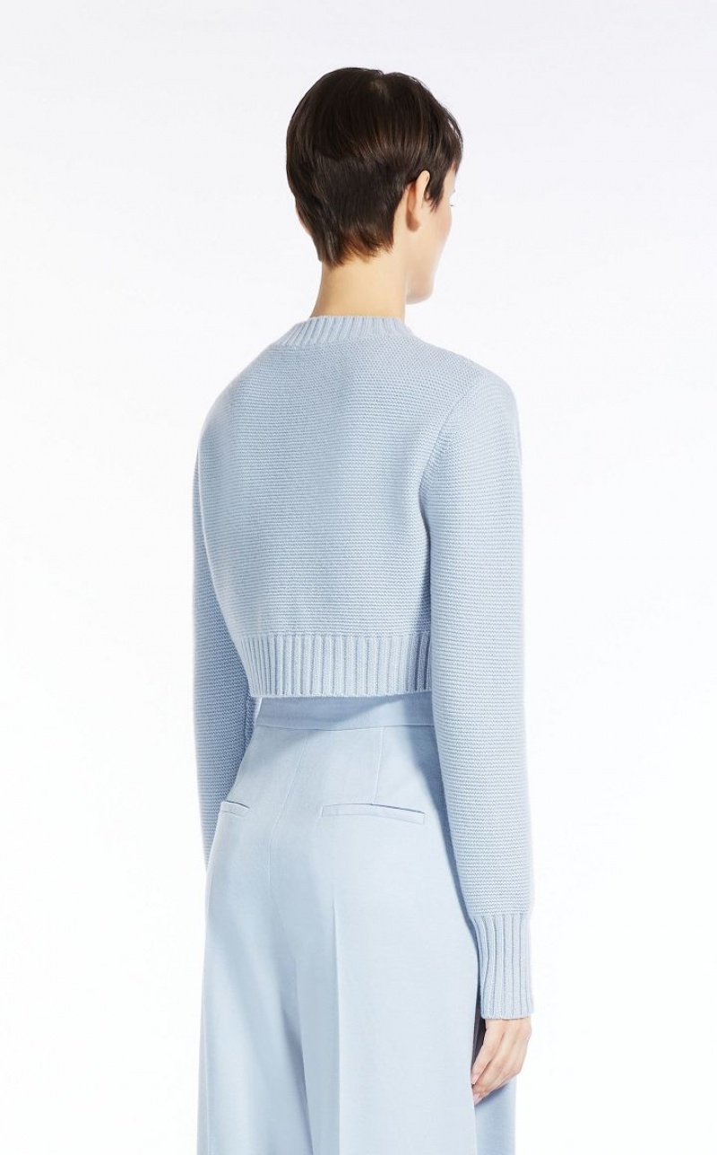 MaxMara Cropped, Cashmere Knitwear LIGHT BLUE | MMR593423