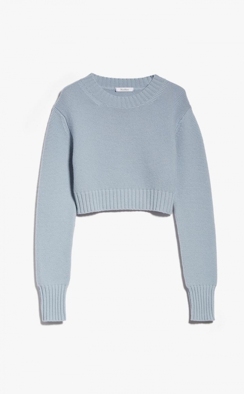 MaxMara Cropped, Cashmere Knitwear LIGHT BLUE | MMR593423