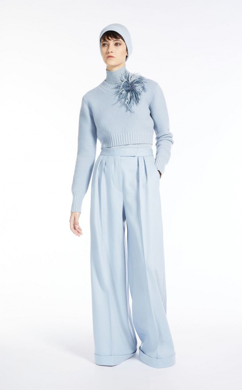 MaxMara Cropped, Cashmere Knitwear LIGHT BLUE | MMR593423